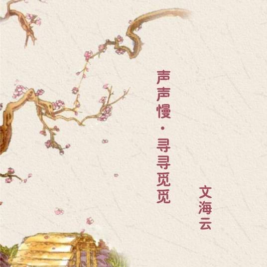 声声慢·寻寻觅觅（文海云演唱的歌曲）