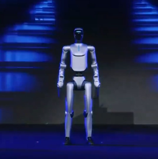 荣耀 ROBOT