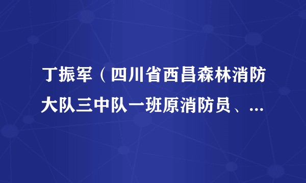 丁振军（四川省西昌森林消防大队三中队一班原消防员、江西省赣州市籍烈士、感动中国2019年度人物）