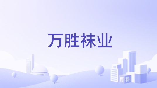 万胜袜业