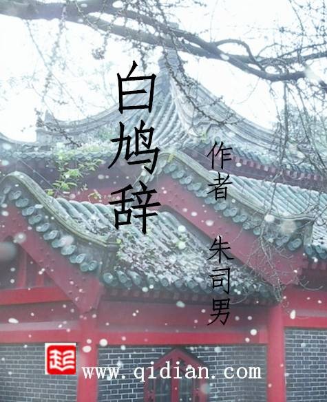 白鸠辞（朱司男所著小说）