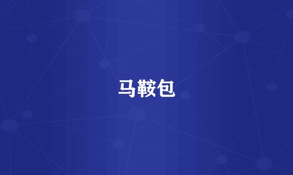 马鞍包
