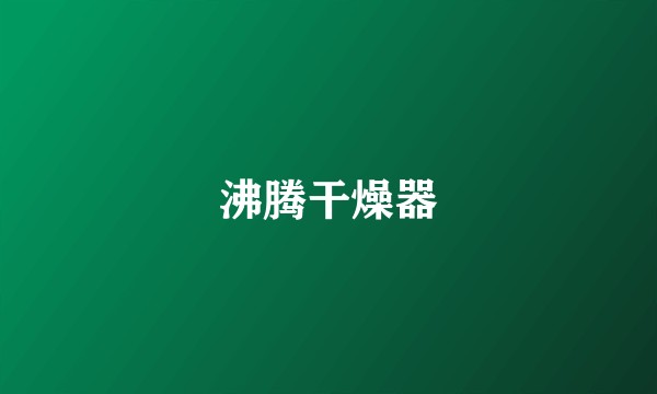 沸腾干燥器
