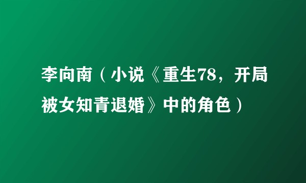 李向南（小说《重生78，开局被女知青退婚》中的角色）