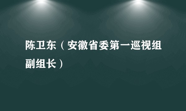 陈卫东（安徽省委第一巡视组副组长）