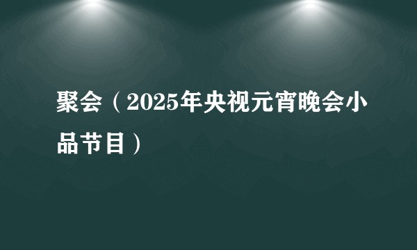 聚会（2025年央视元宵晚会小品节目）
