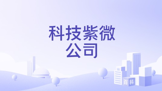 科技紫微公司