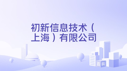 初新信息技术(上海)有限公司