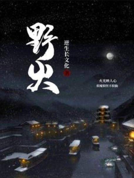 野火（逆生长文化所著小说）