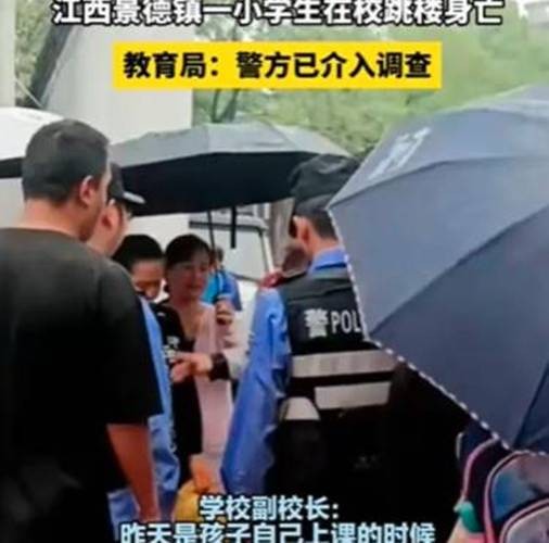 4·25景德镇小学生坠楼事件