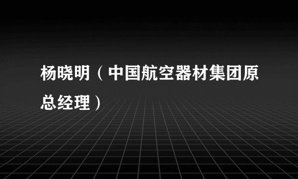 杨晓明（中国航空器材集团原总经理）