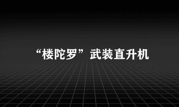 “楼陀罗”武装直升机