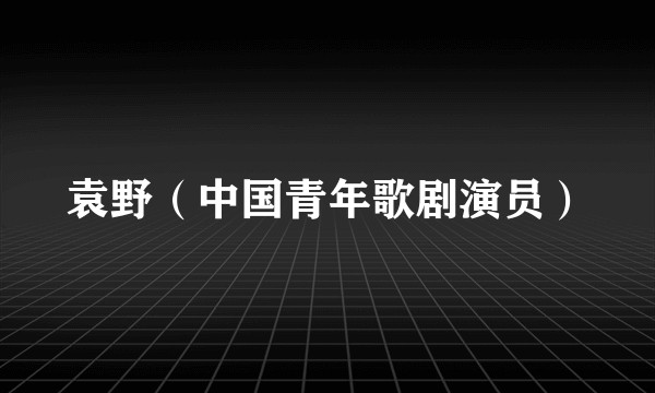 袁野（中国青年歌剧演员）