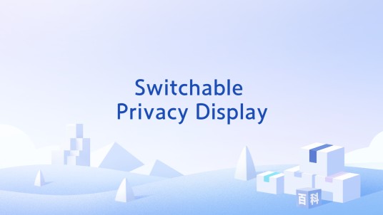 Switchable Privacy Display