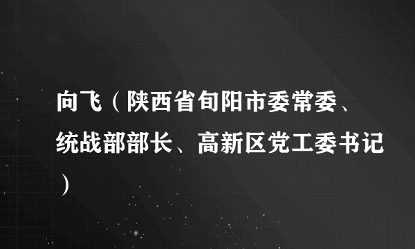 向飞（陕西省旬阳市委常委、统战部部长、高新区党工委书记）
