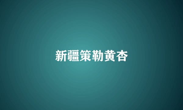 新疆策勒黄杏