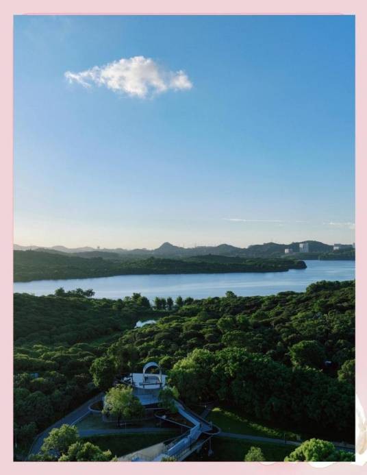 西丽湖（位于深圳市南山区西丽片区的自然湖泊）