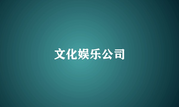 文化娱乐公司