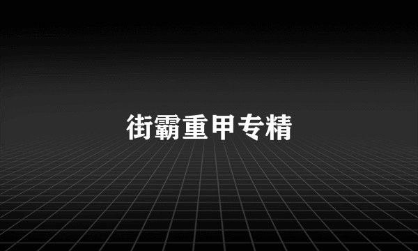 街霸重甲专精