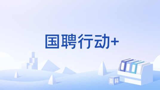 国聘行动+