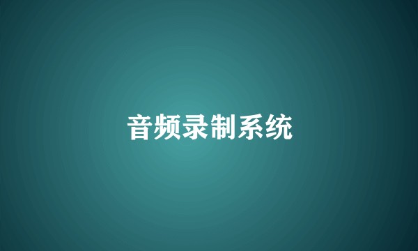 音频录制系统