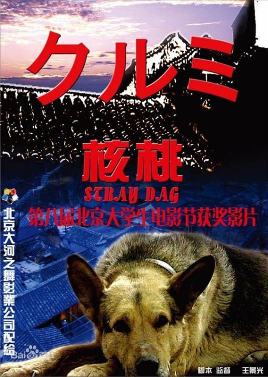 核桃（2001年上映的中国电影）