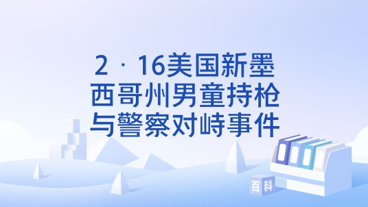 2·16美国新墨西哥州男童持枪与警察对峙事件
