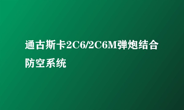 通古斯卡2C6/2C6M弹炮结合防空系统