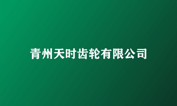 青州天时齿轮有限公司