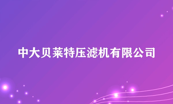 中大贝莱特压滤机有限公司