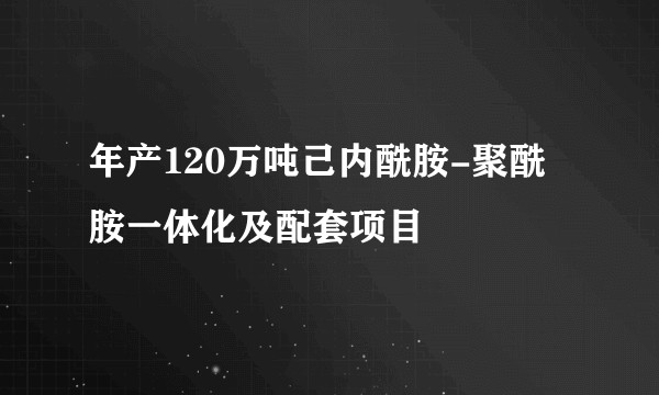 年产120万吨己内酰胺-聚酰胺一体化及配套项目