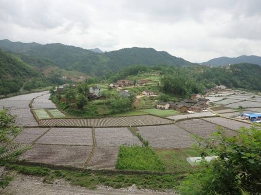 大河镇（陕西省汉中市西乡县下辖镇）