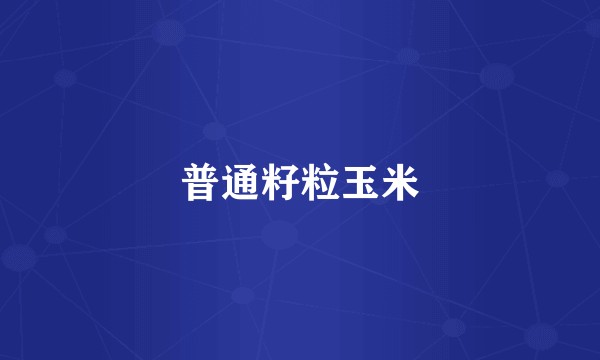 普通籽粒玉米