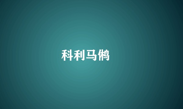 科利马鸺鹠