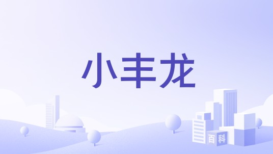 小丰龙