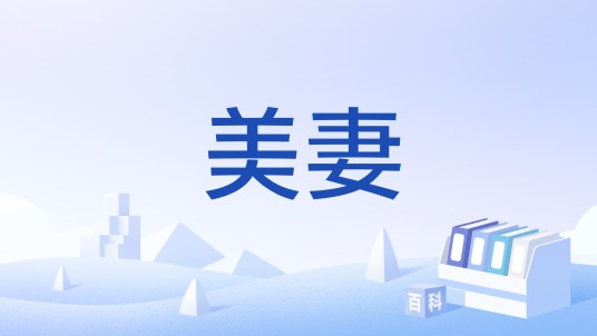 美妻（汉语词语）