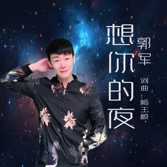 想你的夜（郭军演唱的歌曲）
