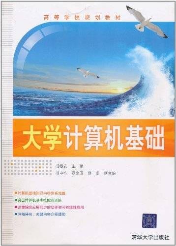 大学计算机基础(2009年7月清华大学出版社出版的图书)