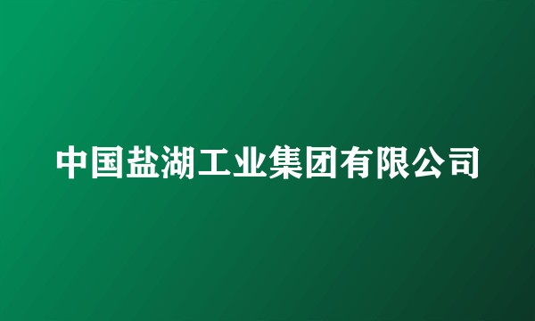 中国盐湖工业集团有限公司