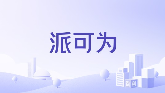派可为
