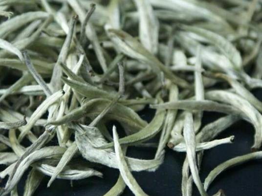 云南大白茶