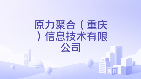 原力聚合(重庆)信息技术有限公司
