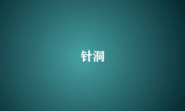 针洞
