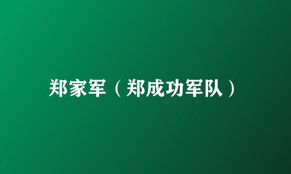 郑家军（郑成功军队）