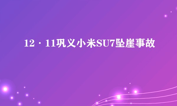 12·11巩义小米SU7坠崖事故