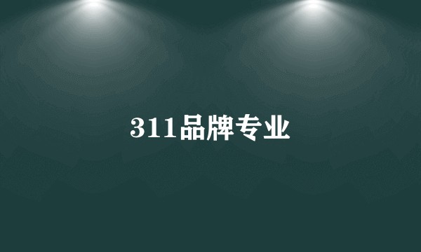 311品牌专业