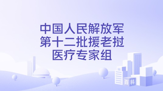 中国人民解放军第十二批援老挝医疗专家组