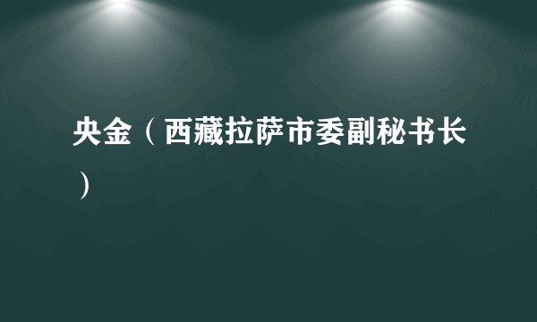 央金（西藏拉萨市委副秘书长）