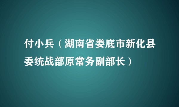 付小兵（湖南省娄底市新化县委统战部原常务副部长）