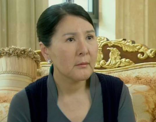 刘婉华（励志寻亲剧《幸福妈妈》中的角色）